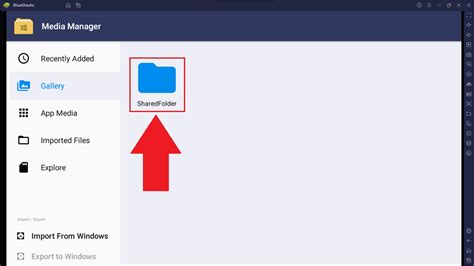 bluestacks media folder location